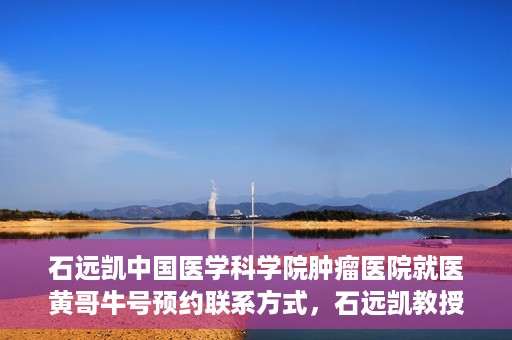 石远凯中国医学科学院肿瘤医院就医黄哥牛号预约联系方式，石远凯教授，中国医学科学院肿瘤医院就医攻略及黄哥牛号预约联系方式揭秘