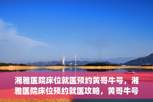 湘雅医院床位就医预约黄哥牛号，湘雅医院床位预约就医攻略，黄哥牛号助您轻松挂号就医