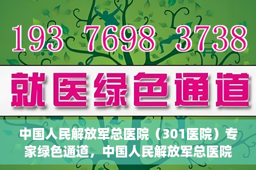 中国人民解放军总医院（301医院）专家绿色通道，中国人民解放军总医院专家绿色通道，高效就医新通道开启