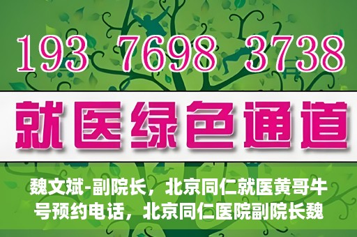 魏文斌-副院长，北京同仁就医黄哥牛号预约电话，北京同仁医院副院长魏文斌，就医黄哥牛号预约电话解析