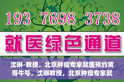 沈琳-教授，北京肿瘤专家就医预约黄哥牛号，沈琳教授，北京肿瘤专家就医预约热线背后的权威力量