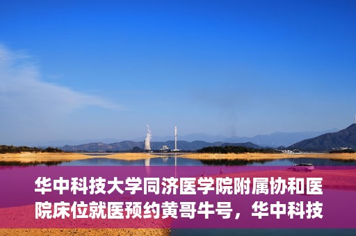 华中科技大学同济医学院附属协和医院床位就医预约黄哥牛号，华中科技大学同济医学院附属协和医院床位预约系统，黄哥牛号引领就医新风尚