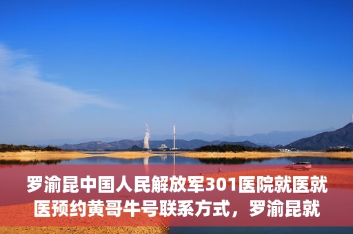 罗渝昆中国人民解放军301医院就医就医预约黄哥牛号联系方式，罗渝昆就医之路，中国人民解放军301医院预约挂号攻略及联系方式揭秘