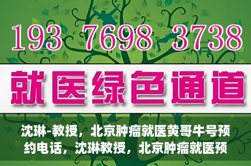 沈琳-教授，北京肿瘤就医黄哥牛号预约电话，沈琳教授，北京肿瘤就医预约热线及黄哥牛号解析