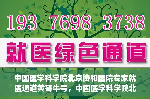 中国医学科学院北京协和医院专家就医通道黄哥牛号，中国医学科学院北京协和医院专家就医绿色通道解析——黄哥牛号揭秘