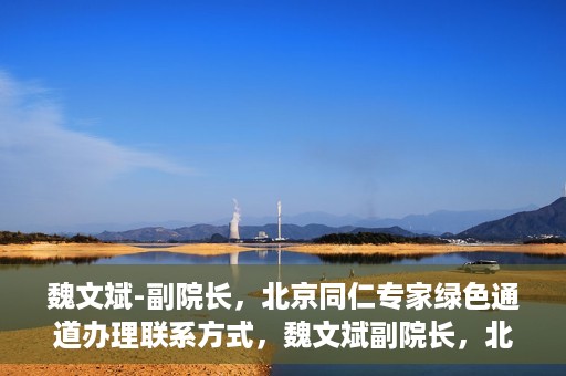 魏文斌-副院长，北京同仁专家绿色通道办理联系方式，魏文斌副院长，北京同仁专家绿色通道联系方式全解析