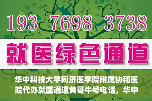 华中科技大学同济医学院附属协和医院代办就医通道黄哥牛号电话，华中科技大学同济医学院附属协和医院代办就医通道揭秘，黄哥牛号联系电话曝光
