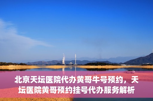 北京天坛医院代办黄哥牛号预约，天坛医院黄哥预约挂号代办服务解析