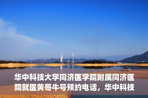 华中科技大学同济医学院附属同济医院就医黄哥牛号预约电话，华中科技大学同济医院就医黄哥牛号预约热线解析