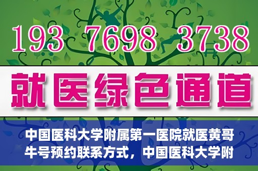 中国医科大学附属第一医院就医黄哥牛号预约联系方式，中国医科大学附属第一医院黄哥牛号预约挂号联系方式详解
