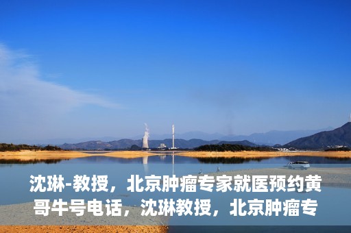 沈琳-教授，北京肿瘤专家就医预约黄哥牛号电话，沈琳教授，北京肿瘤专家预约热线，黄哥牛号电话直达就医通道