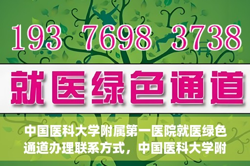 中国医科大学附属第一医院就医绿色通道办理联系方式，中国医科大学附属第一医院就医绿色通道联系指南，快速办理就医手续，轻松享受优质服务！