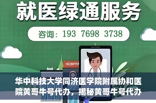 华中科技大学同济医学院附属协和医院黄哥牛号代办，揭秘黄哥牛号代办背后的故事，华中科技大学同济医学院附属协和医院就医新途径探索