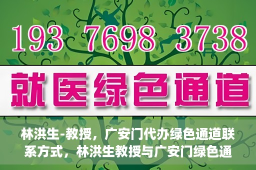 林洪生-教授，广安门代办绿色通道联系方式，林洪生教授与广安门绿色通道，联系方式揭秘