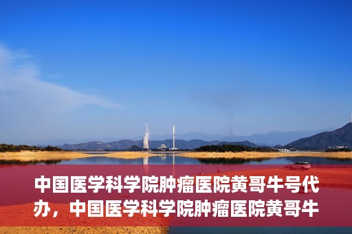 中国医学科学院肿瘤医院黄哥牛号代办，中国医学科学院肿瘤医院黄哥牛号挂号代办服务解析