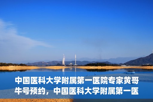中国医科大学附属第一医院专家黄哥牛号预约，中国医科大学附属第一医院专家黄哥牛预约挂号攻略