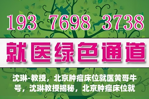 沈琳-教授，北京肿瘤床位就医黄哥牛号，沈琳教授揭秘，北京肿瘤床位就医攻略——黄哥牛号引领健康之路
