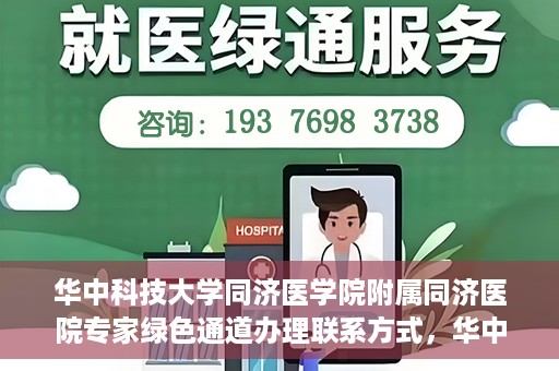 华中科技大学同济医学院附属同济医院专家绿色通道办理联系方式，华中科技大学同济医院专家绿色通道联系指南，快速办理秘籍与联系方式揭秘