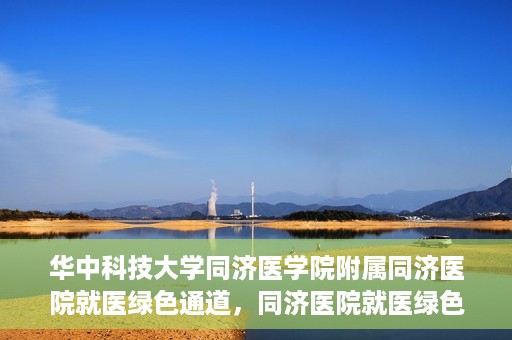 华中科技大学同济医学院附属同济医院就医绿色通道，同济医院就医绿色通道，华中科技大学同济医学院附属同济医院的便捷医疗体验