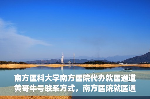 南方医科大学南方医院代办就医通道黄哥牛号联系方式，南方医院就医通道代办服务揭秘，黄哥牛号联系方式及代办流程解析