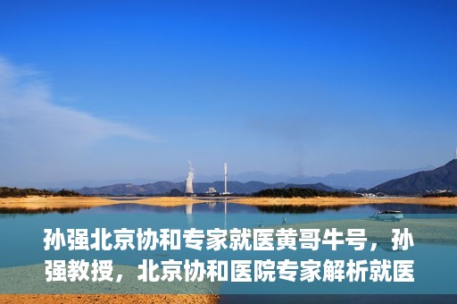 孙强北京协和专家就医黄哥牛号，孙强教授，北京协和医院专家解析就医新号黄哥牛号