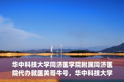 华中科技大学同济医学院附属同济医院代办就医黄哥牛号，华中科技大学同济医院就医黄哥牛号代办服务解析