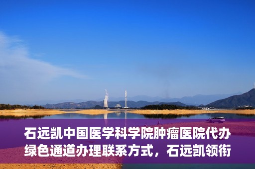 石远凯中国医学科学院肿瘤医院代办绿色通道办理联系方式，石远凯领衔的中国医学科学院肿瘤医院绿色通道办理指南与联系方式揭秘