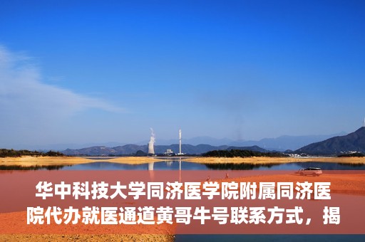 华中科技大学同济医学院附属同济医院代办就医通道黄哥牛号联系方式，揭秘黄哥牛号，同济医院就医通道代办联系方式与操作指南