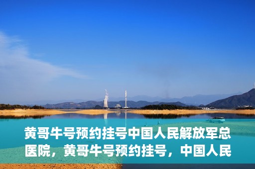 黄哥牛号预约挂号中国人民解放军总医院，黄哥牛号预约挂号，中国人民解放军总医院就医新体验