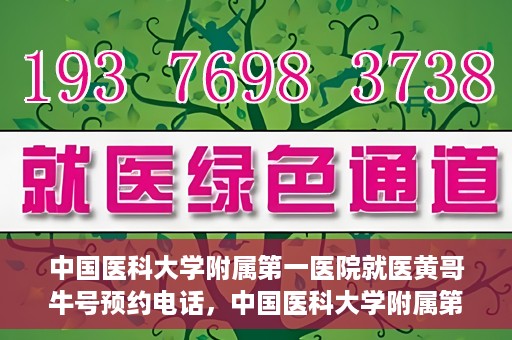 中国医科大学附属第一医院就医黄哥牛号预约电话，中国医科大学附属第一医院就医预约电话及黄哥牛号预约攻略