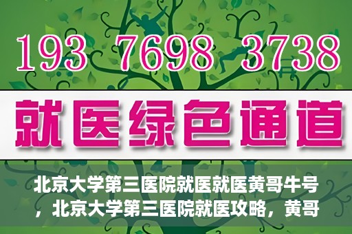 北京大学第三医院就医就医黄哥牛号，北京大学第三医院就医攻略，黄哥牛号助您轻松挂号就医