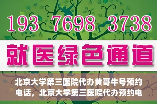 北京大学第三医院代办黄哥牛号预约电话，北京大学第三医院代办预约电话，黄哥牛号预约服务解析与指南