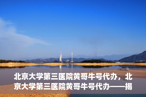 北京大学第三医院黄哥牛号代办，北京大学第三医院黄哥牛号代办——揭秘医疗预约背后的故事