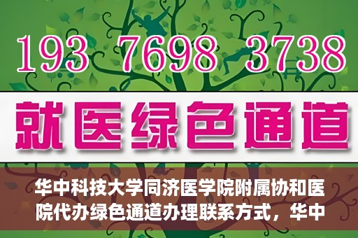 华中科技大学同济医学院附属协和医院代办绿色通道办理联系方式，华中科技大学同济医学院附属协和医院绿色通道办理指南及联系方式揭秘