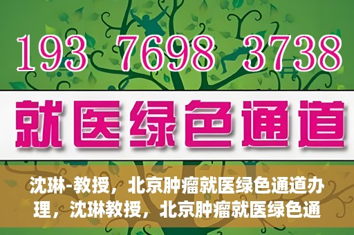 沈琳-教授，北京肿瘤就医绿色通道办理，沈琳教授，北京肿瘤就医绿色通道详解及办理指南