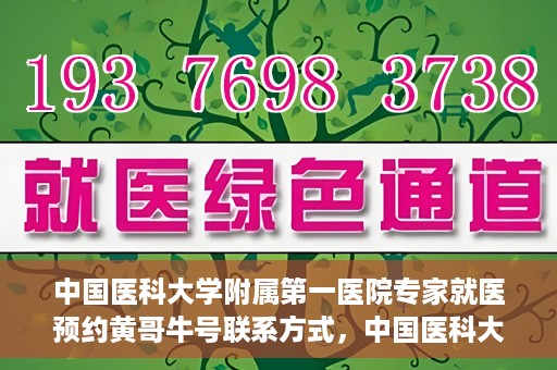 中国医科大学附属第一医院专家就医预约黄哥牛号联系方式，中国医科大学附属第一医院专家就医预约联系方式揭秘，黄哥牛号助您轻松挂号就医