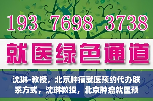沈琳-教授，北京肿瘤就医预约代办联系方式，沈琳教授，北京肿瘤就医预约代办的权威联系方式揭秘