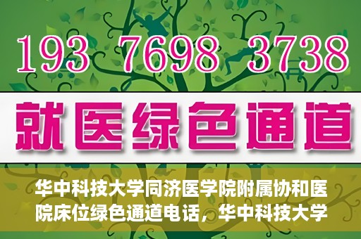华中科技大学同济医学院附属协和医院床位绿色通道电话，华中科技大学同济医学院附属协和医院床位绿色通道咨询热线揭秘