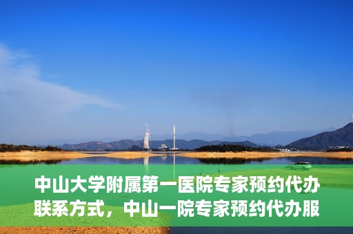 中山大学附属第一医院专家预约代办联系方式，中山一院专家预约代办服务联系方式解析