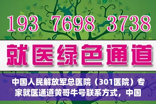 中国人民解放军总医院（301医院）专家就医通道黄哥牛号联系方式，中国人民解放军总医院专家就医通道黄哥牛号联系方式揭秘，权威医疗资源的便捷通道探索