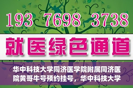 华中科技大学同济医学院附属同济医院黄哥牛号预约挂号，华中科技大学同济医院黄哥牛号预约挂号攻略