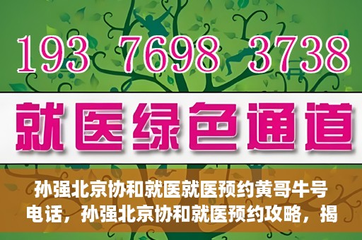 孙强北京协和就医就医预约黄哥牛号电话，孙强北京协和就医预约攻略，揭秘黄哥牛号预约电话