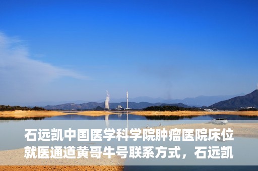 石远凯中国医学科学院肿瘤医院床位就医通道黄哥牛号联系方式，石远凯教授，中国医学科学院肿瘤医院床位就医指南与联系方式揭秘