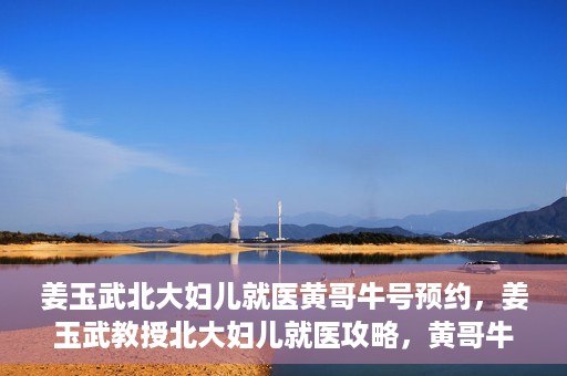 姜玉武北大妇儿就医黄哥牛号预约，姜玉武教授北大妇儿就医攻略，黄哥牛号预约详解