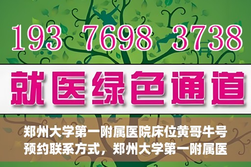 郑州大学第一附属医院床位黄哥牛号预约联系方式，郑州大学第一附属医院床位预约联系方式及床位黄哥牛号详解