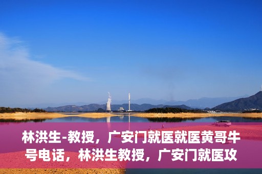 林洪生-教授，广安门就医就医黄哥牛号电话，林洪生教授，广安门就医攻略及黄哥牛号联系电话揭秘