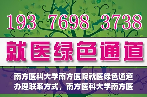 南方医科大学南方医院就医绿色通道办理联系方式，南方医科大学南方医院就医绿色通道办理指南，快速联系与办理方式解析