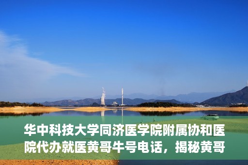 华中科技大学同济医学院附属协和医院代办就医黄哥牛号电话，揭秘黄哥牛号电话背后的华中科技大学同济医学院附属协和医院代办就医服务内幕