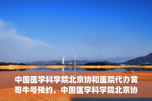 中国医学科学院北京协和医院代办黄哥牛号预约，中国医学科学院北京协和医院黄哥预约挂号代办服务解析