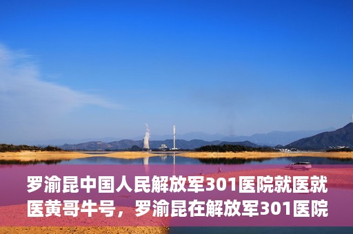 罗渝昆中国人民解放军301医院就医就医黄哥牛号，罗渝昆在解放军301医院就医经历，黄哥牛号背后的故事